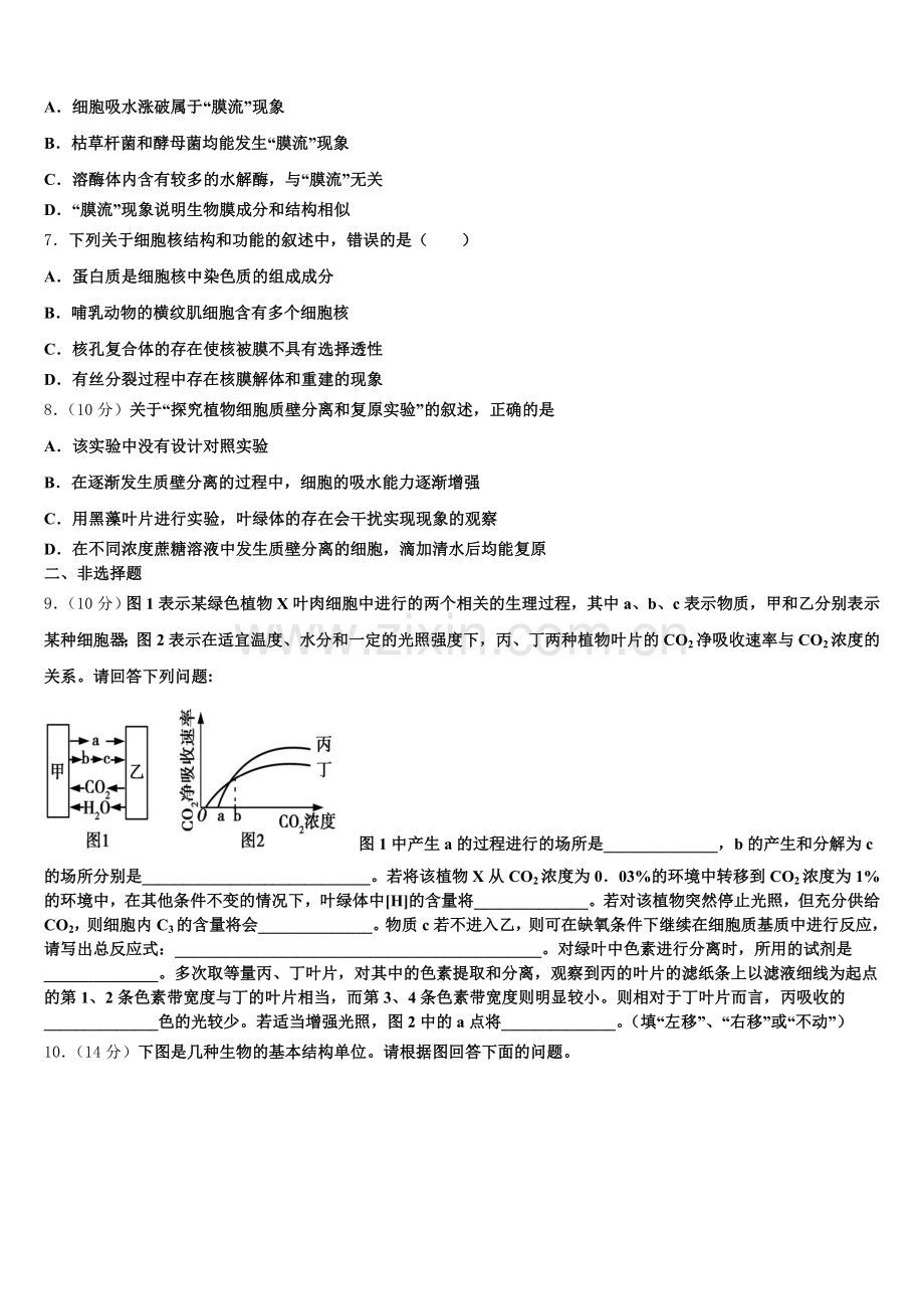2026届安徽省界首市生物高一第一学期期末复习检测模拟试题含解析.doc_第2页
