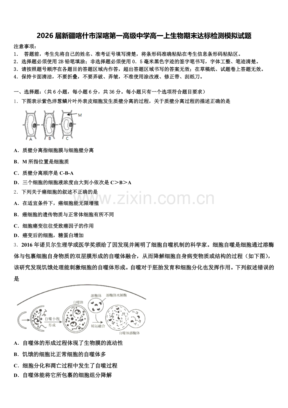 2026届新疆喀什市深喀第一高级中学高一上生物期末达标检测模拟试题含解析.doc_第1页