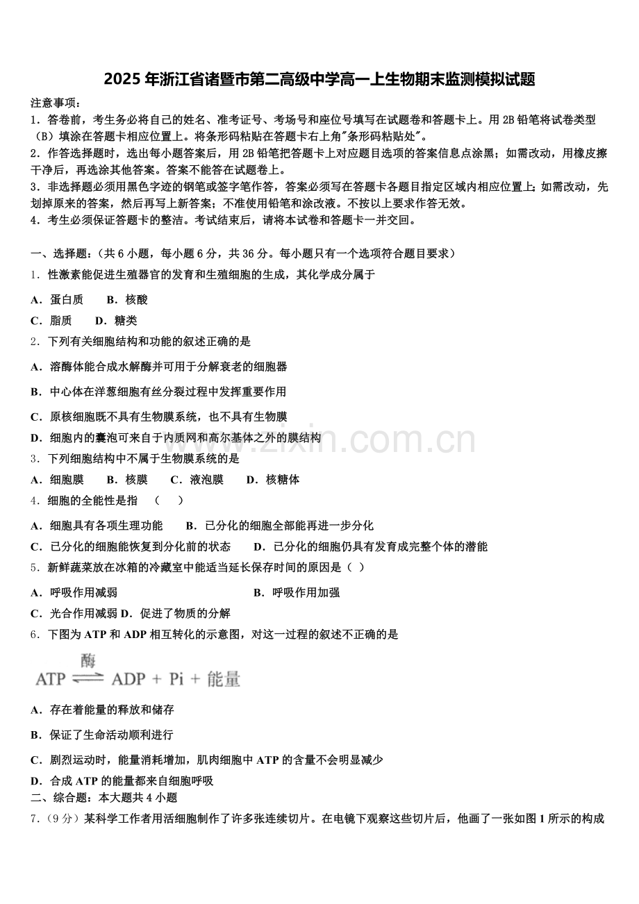 2025年浙江省诸暨市第二高级中学高一上生物期末监测模拟试题含解析.doc_第1页