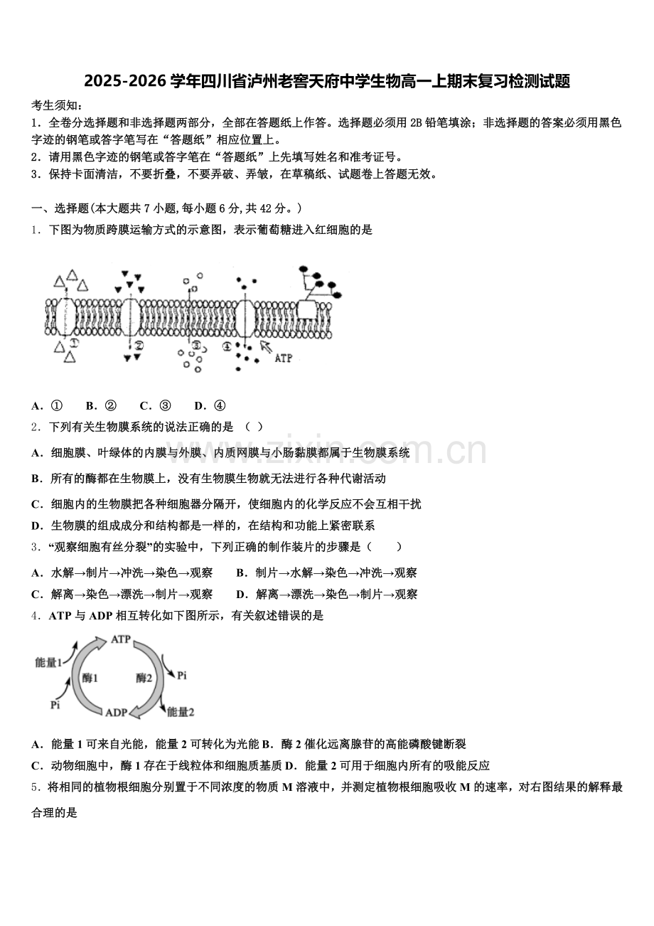 2025-2026学年四川省泸州老窖天府中学生物高一上期末复习检测试题含解析.doc_第1页