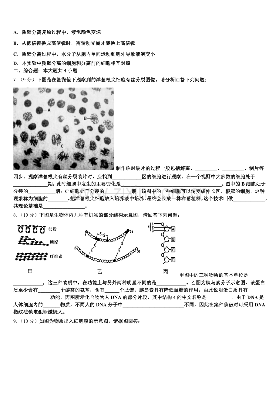 2025年天津耀华中学高一上生物期末学业质量监测模拟试题含解析.doc_第2页
