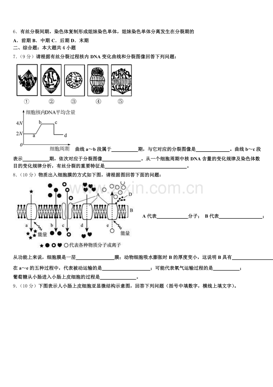 黑龙江省东部地区四校联考2025-2026学年高一生物第一学期期末达标检测试题含解析.doc_第2页