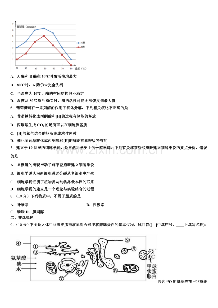 江西新建二中2026届生物高一上期末质量跟踪监视模拟试题含解析.doc_第2页