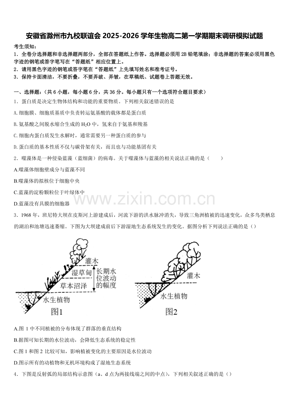 安徽省滁州市九校联谊会2025-2026学年生物高二第一学期期末调研模拟试题含解析.doc_第1页