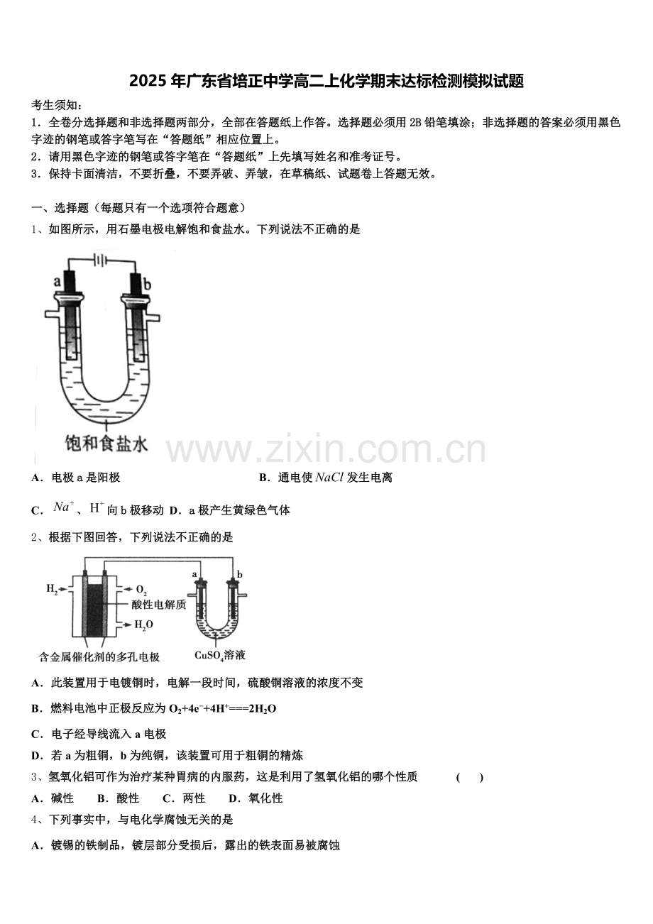 2025年广东省培正中学高二上化学期末达标检测模拟试题含解析.doc_第1页