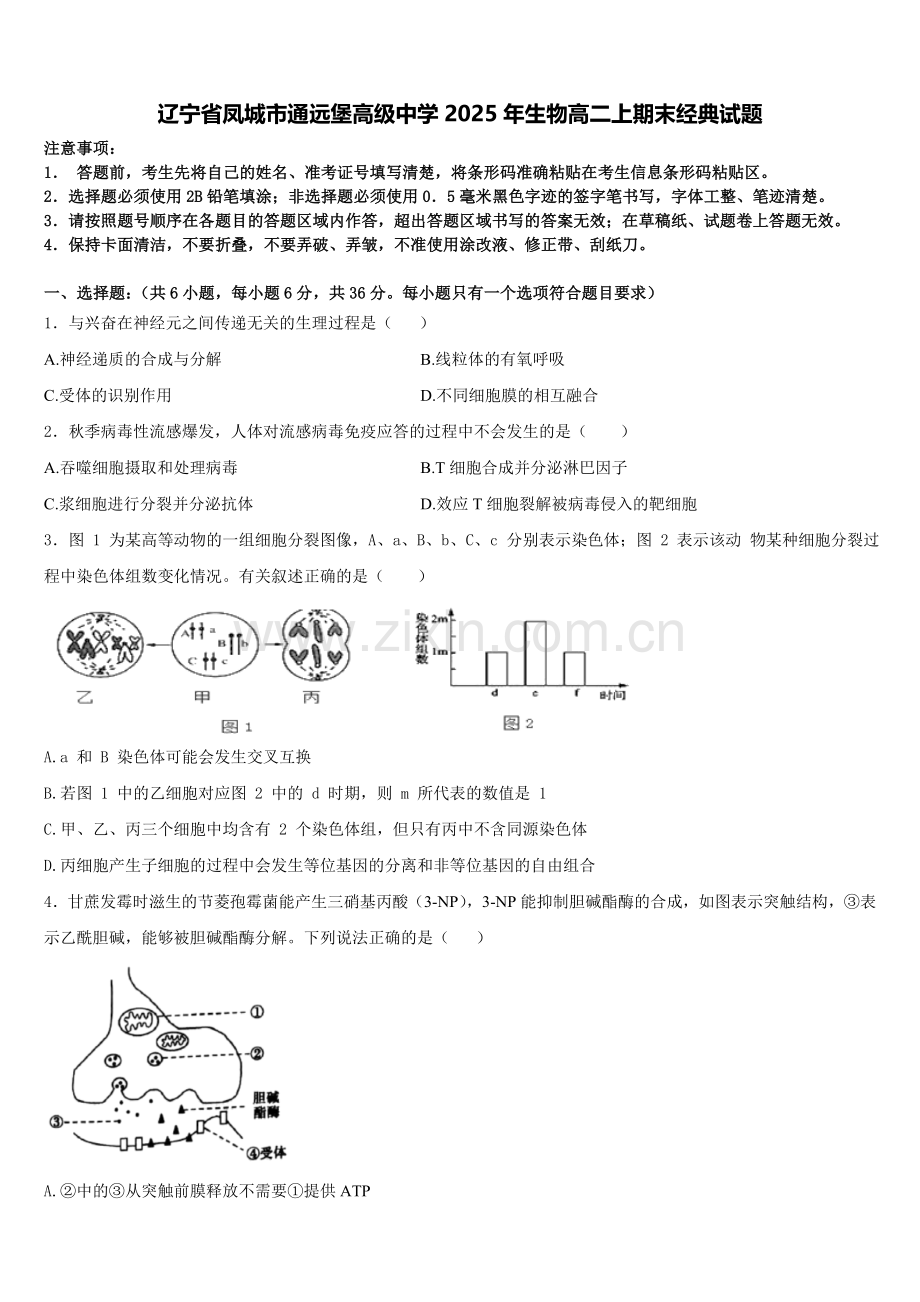 辽宁省凤城市通远堡高级中学2025年生物高二上期末经典试题含解析.doc_第1页