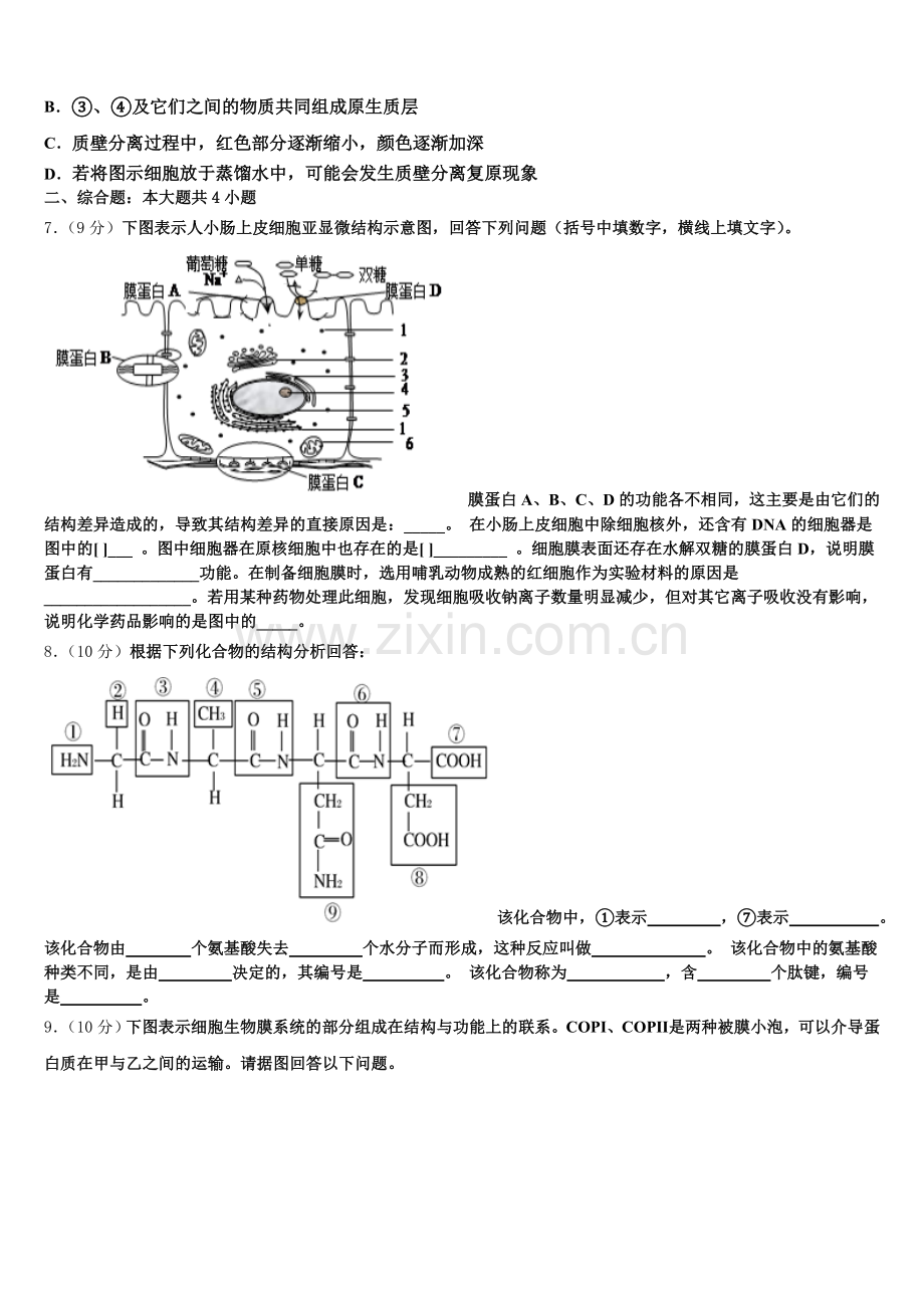 2025-2026学年云南省昭通市实验中学高一生物第一学期期末复习检测模拟试题含解析.doc_第2页