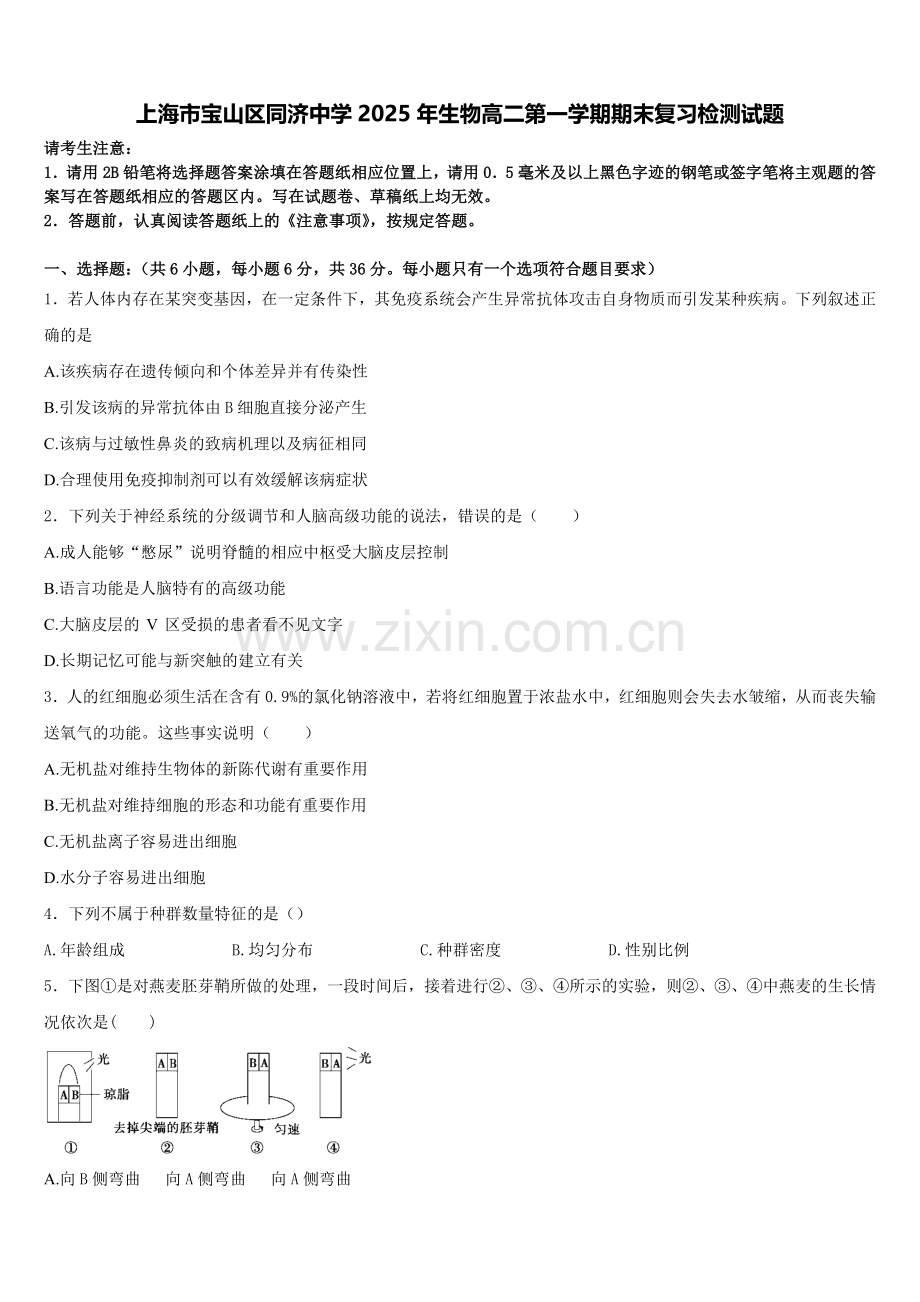 上海市宝山区同济中学2025年生物高二第一学期期末复习检测试题含解析.doc_第1页