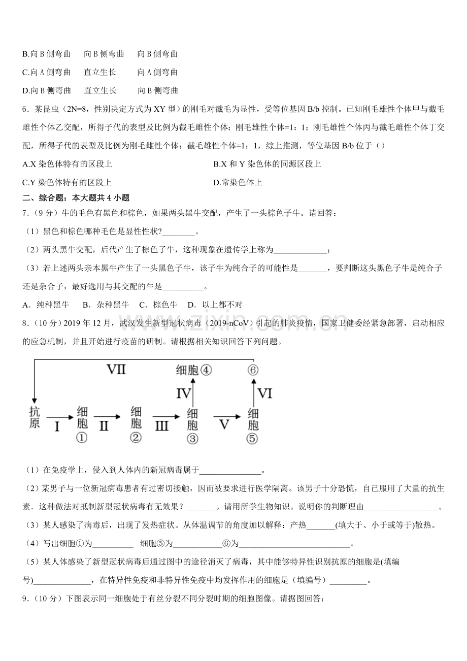 上海市宝山区同济中学2025年生物高二第一学期期末复习检测试题含解析.doc_第2页