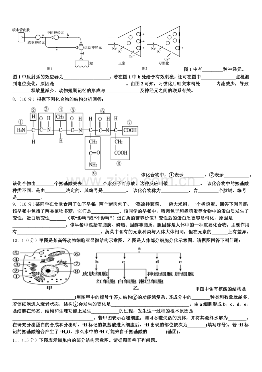 河北省衡水市第十三中学2026届生物高一第一学期期末联考模拟试题含解析.doc_第2页