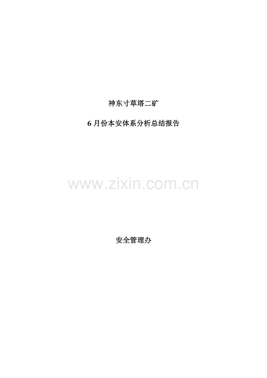 本安体系度分析报告.doc_第1页