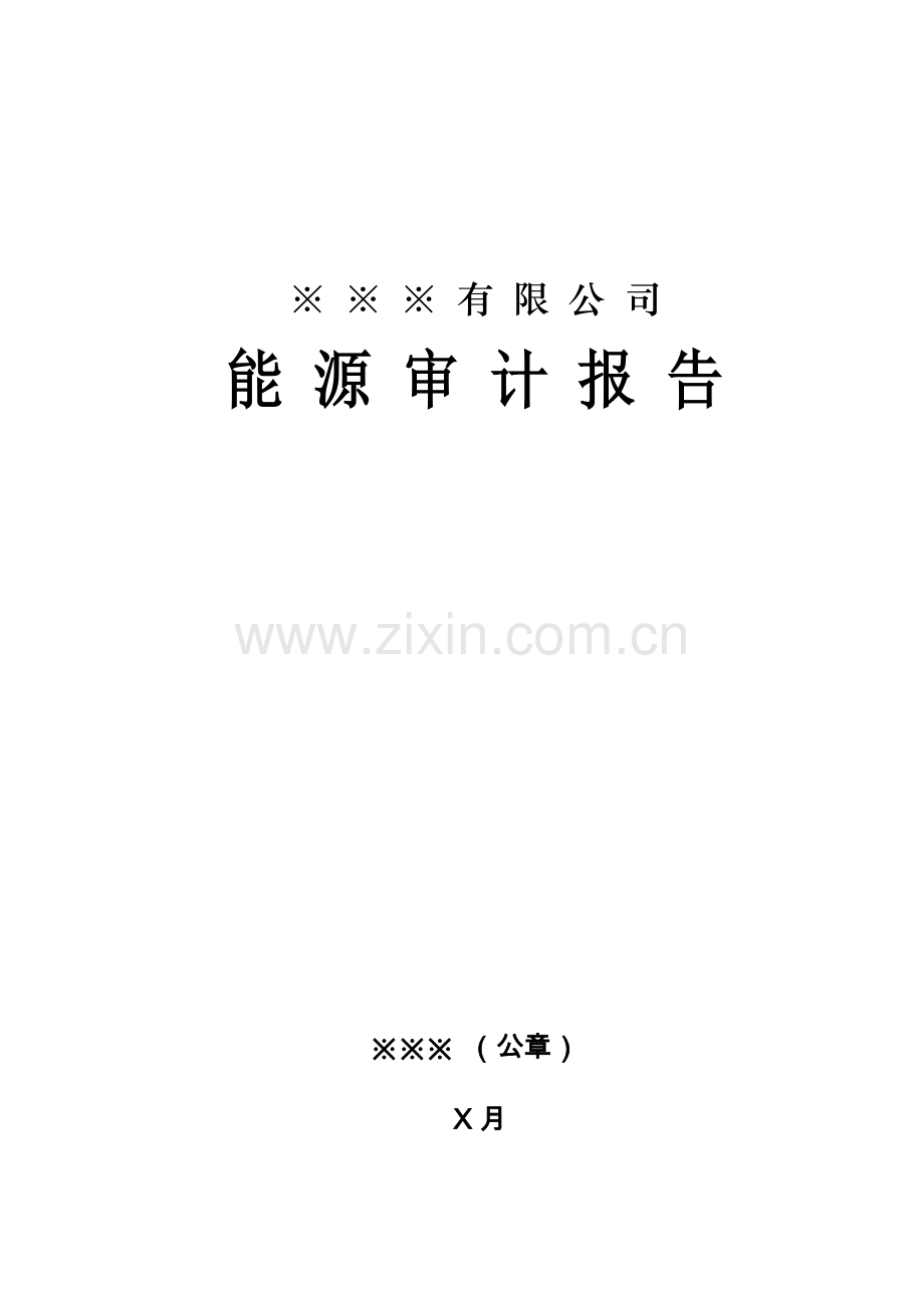 上海市能源审计报告(示范文本).doc_第1页