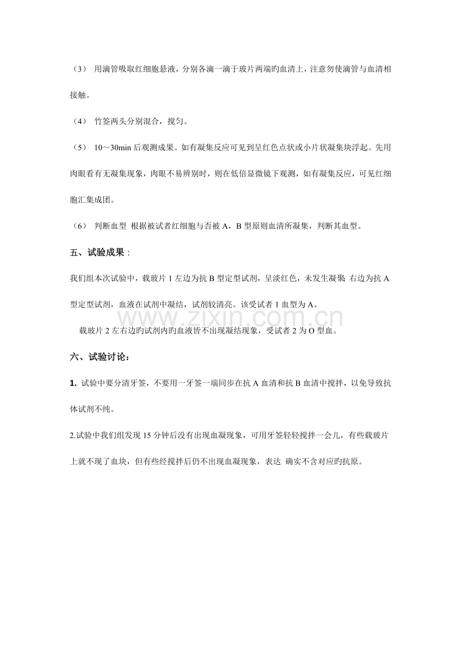 2023年血型测定实验报告.doc_第2页