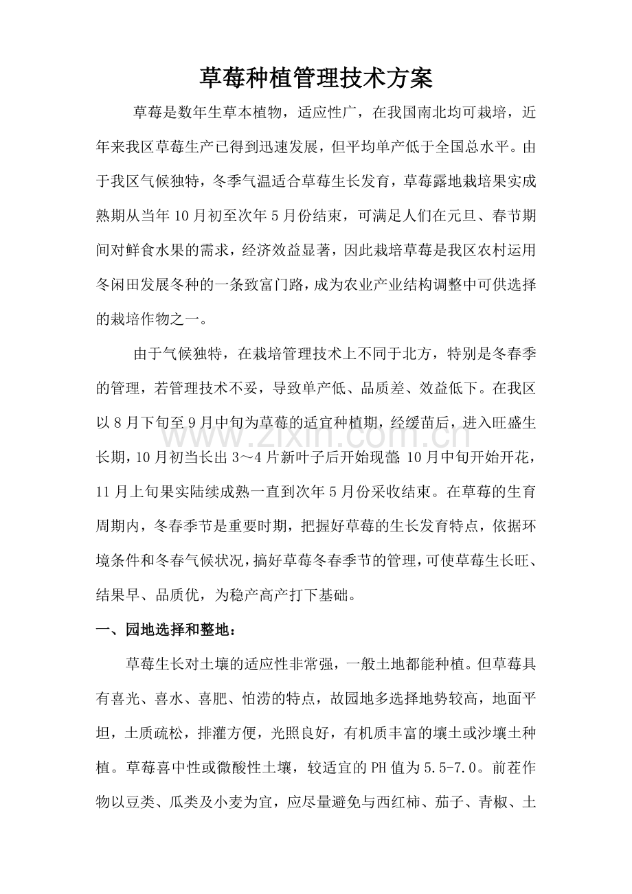 草莓种植管理实施方案.doc_第1页