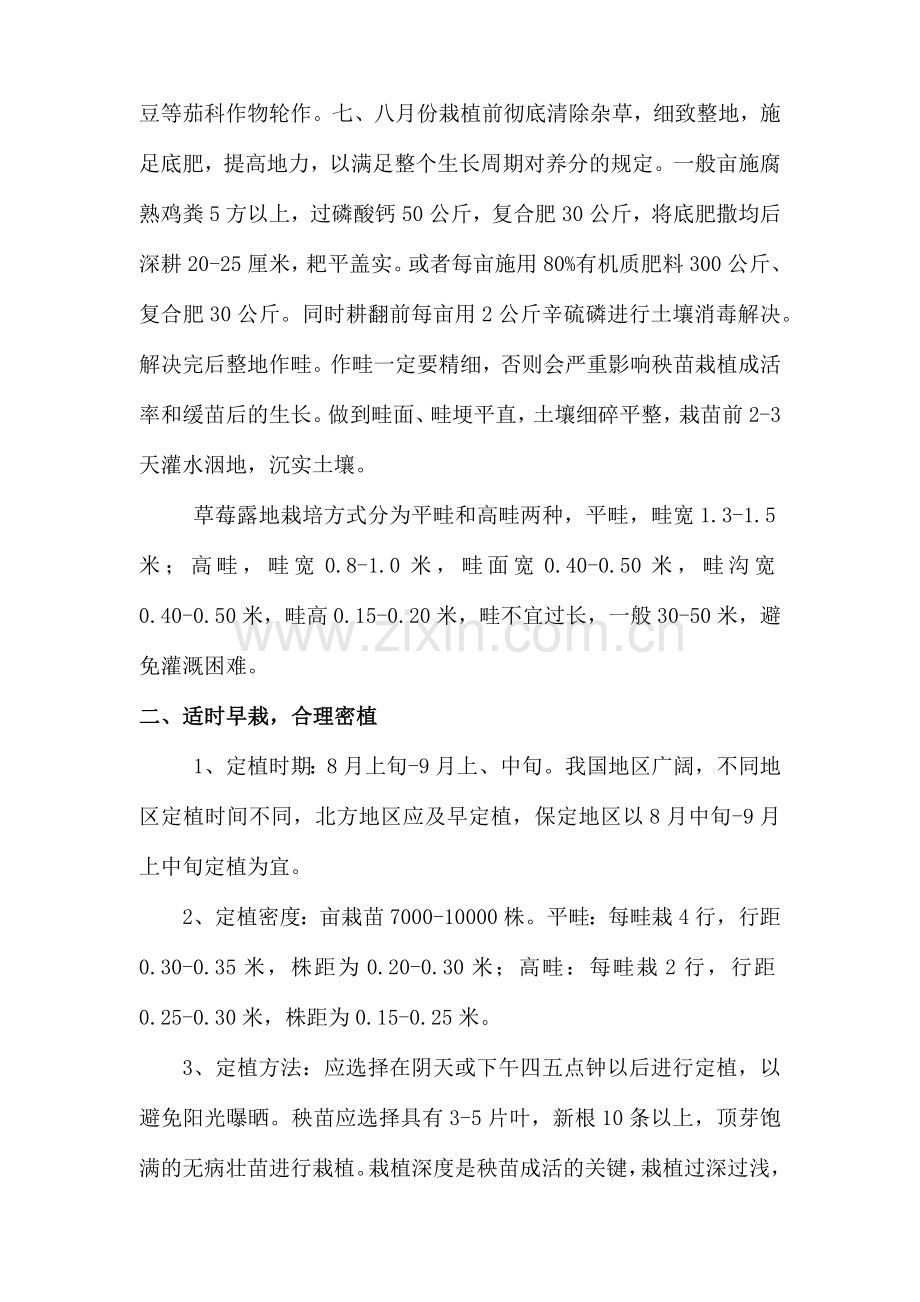 草莓种植管理实施方案.doc_第2页