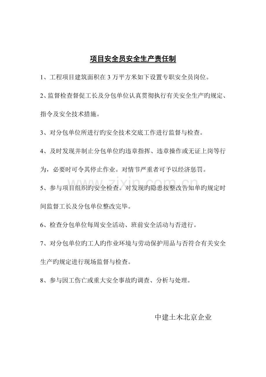 2023年项目安全员安全生产责任制.doc_第1页