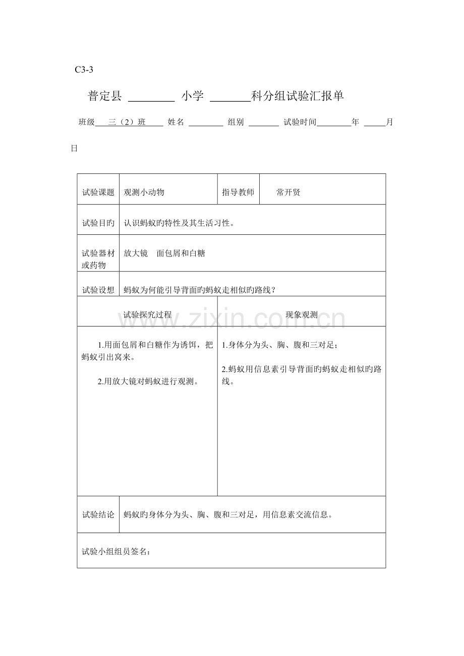 2023年新科教版三年级科学上册实验报告单.doc_第1页