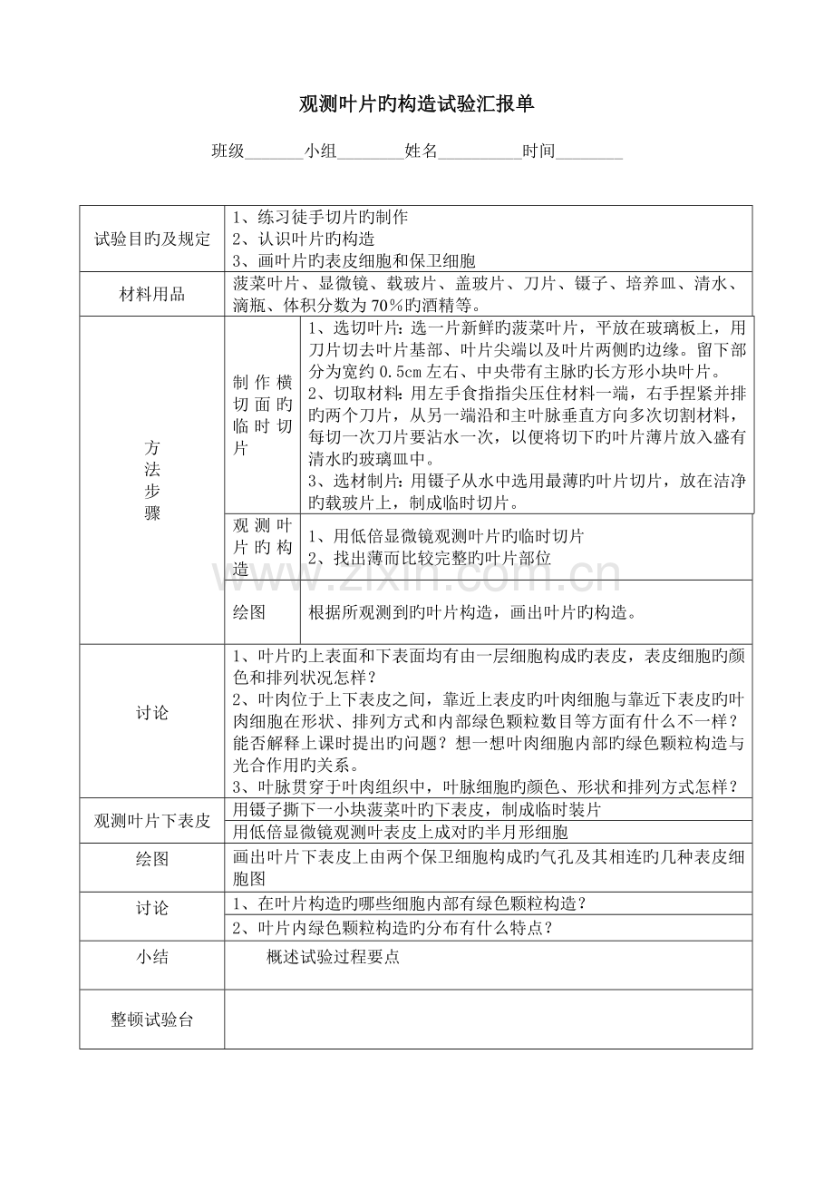 2023年观察叶片的结构实验报告单.doc_第1页