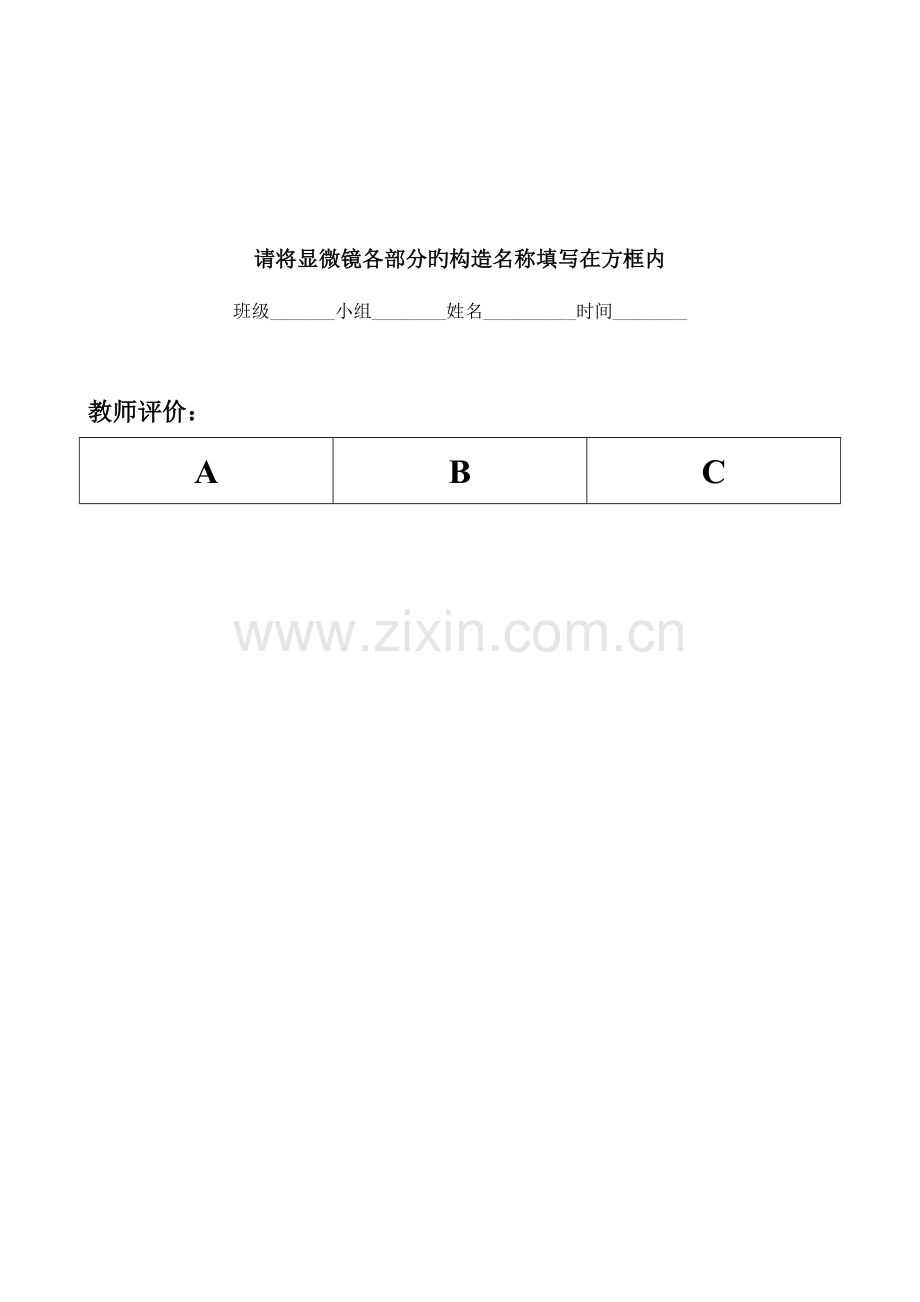 2023年观察叶片的结构实验报告单.doc_第2页