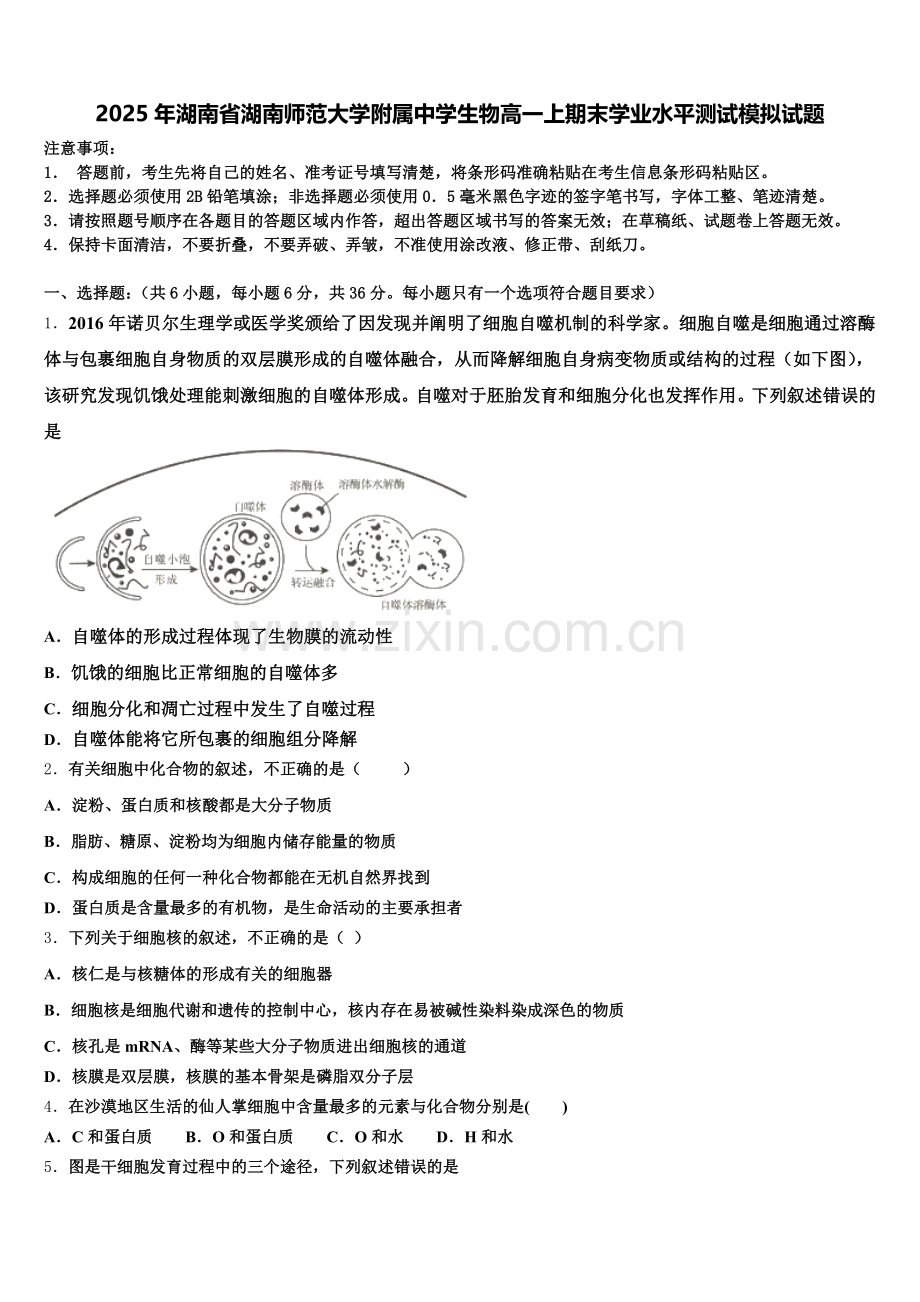 2025年湖南省湖南师范大学附属中学生物高一上期末学业水平测试模拟试题含解析.doc_第1页