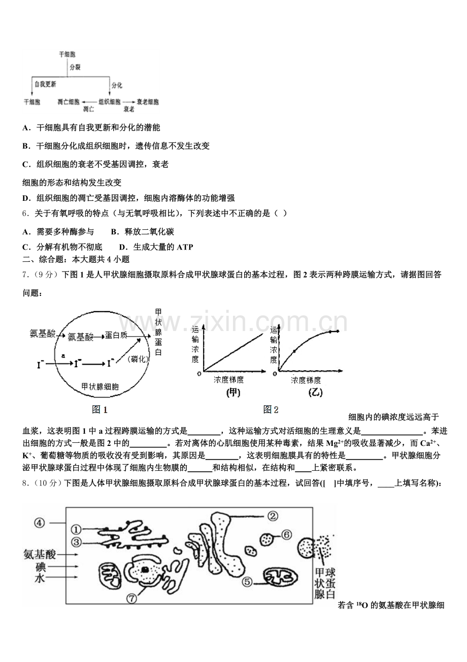 2025年湖南省湖南师范大学附属中学生物高一上期末学业水平测试模拟试题含解析.doc_第2页