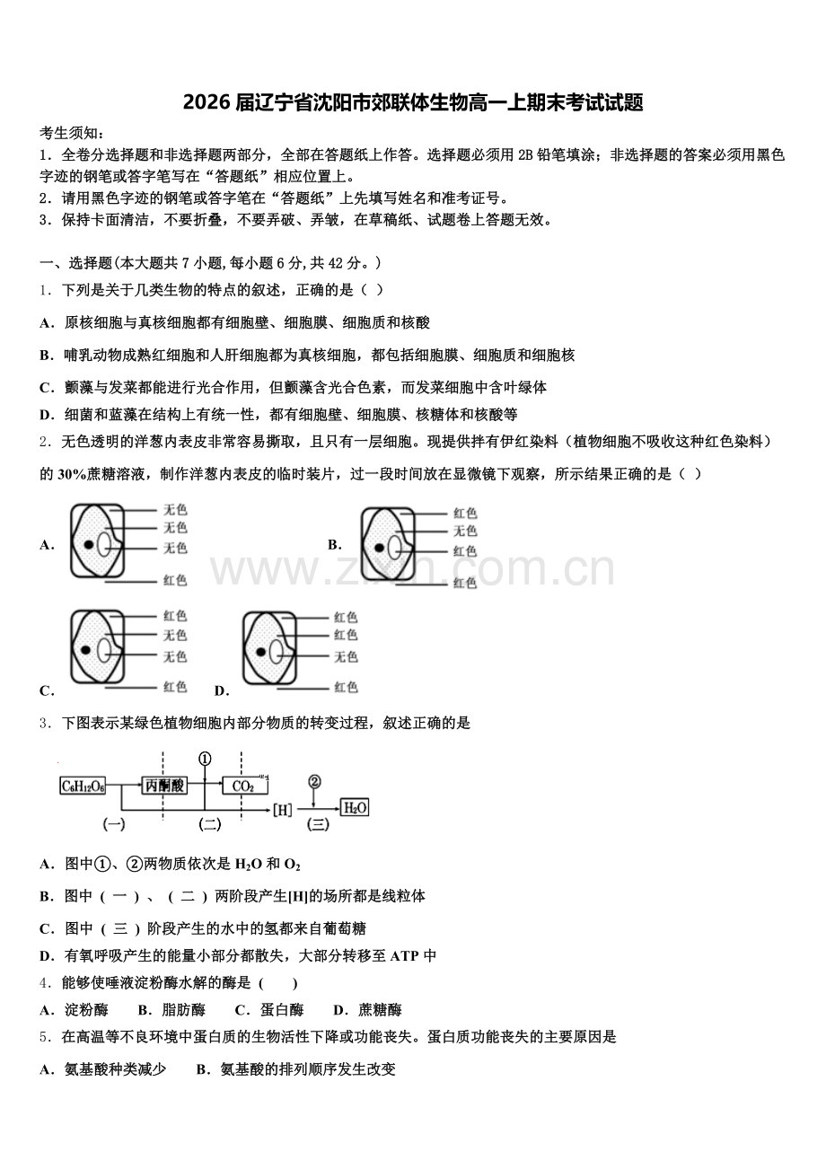 2026届辽宁省沈阳市郊联体生物高一上期末考试试题含解析.doc_第1页