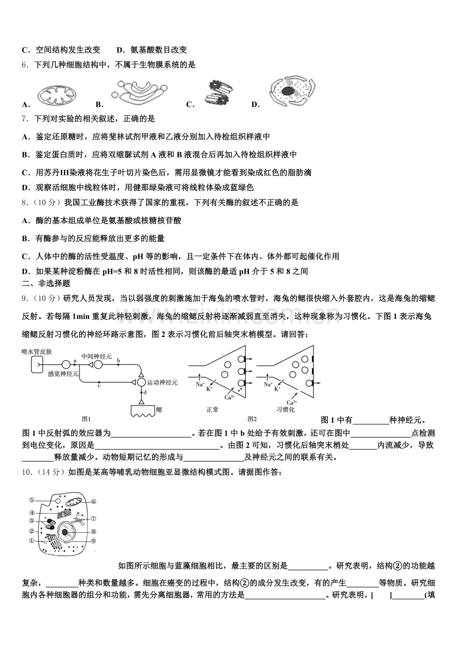 2026届辽宁省沈阳市郊联体生物高一上期末考试试题含解析.doc_第2页