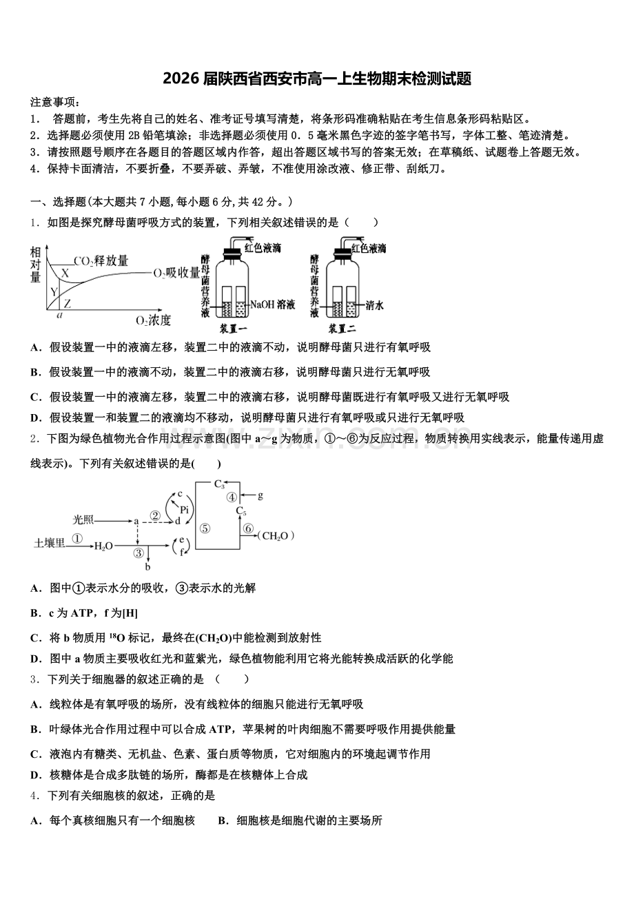 2026届陕西省西安市高一上生物期末检测试题含解析.doc_第1页