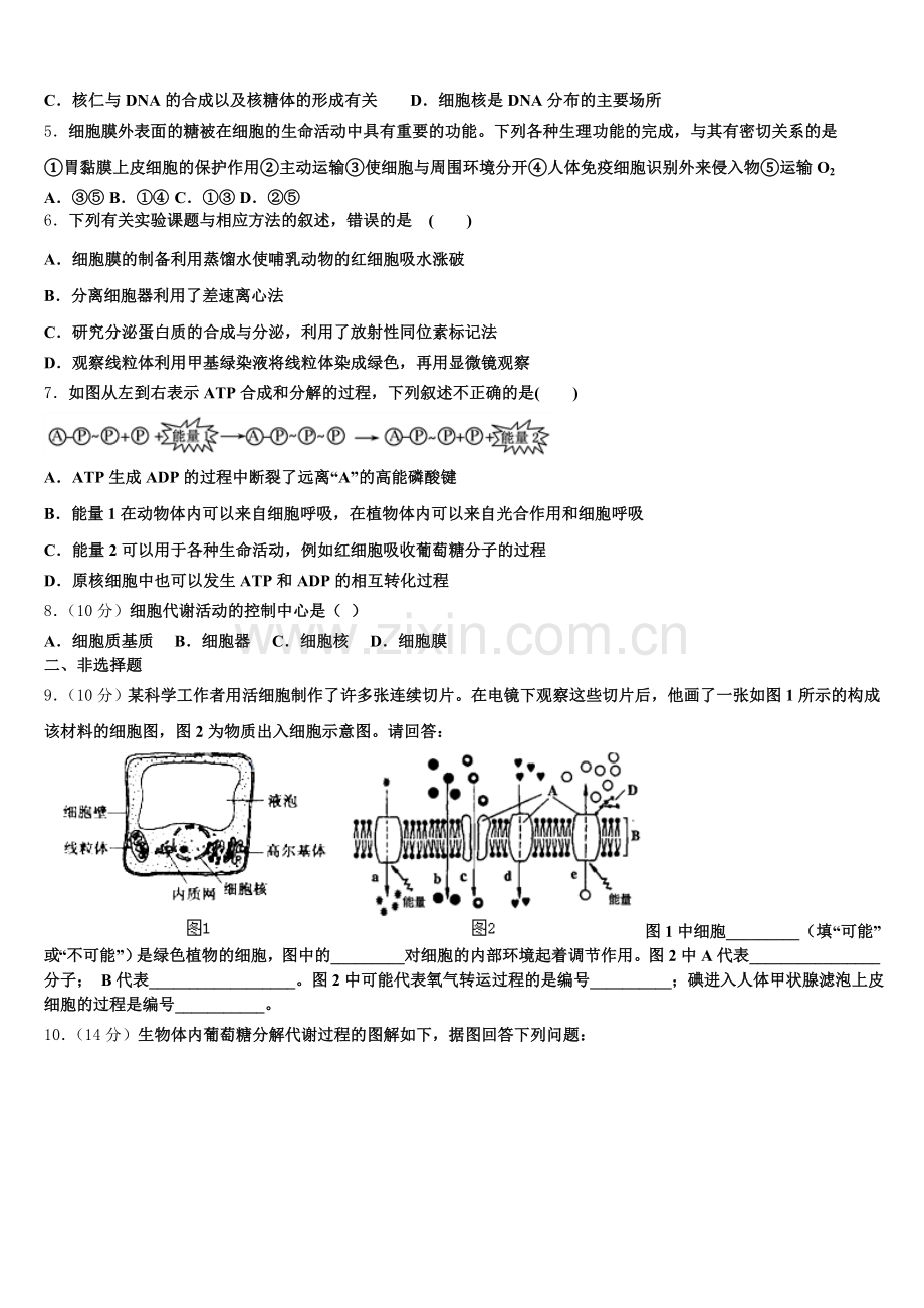 2026届陕西省西安市高一上生物期末检测试题含解析.doc_第2页