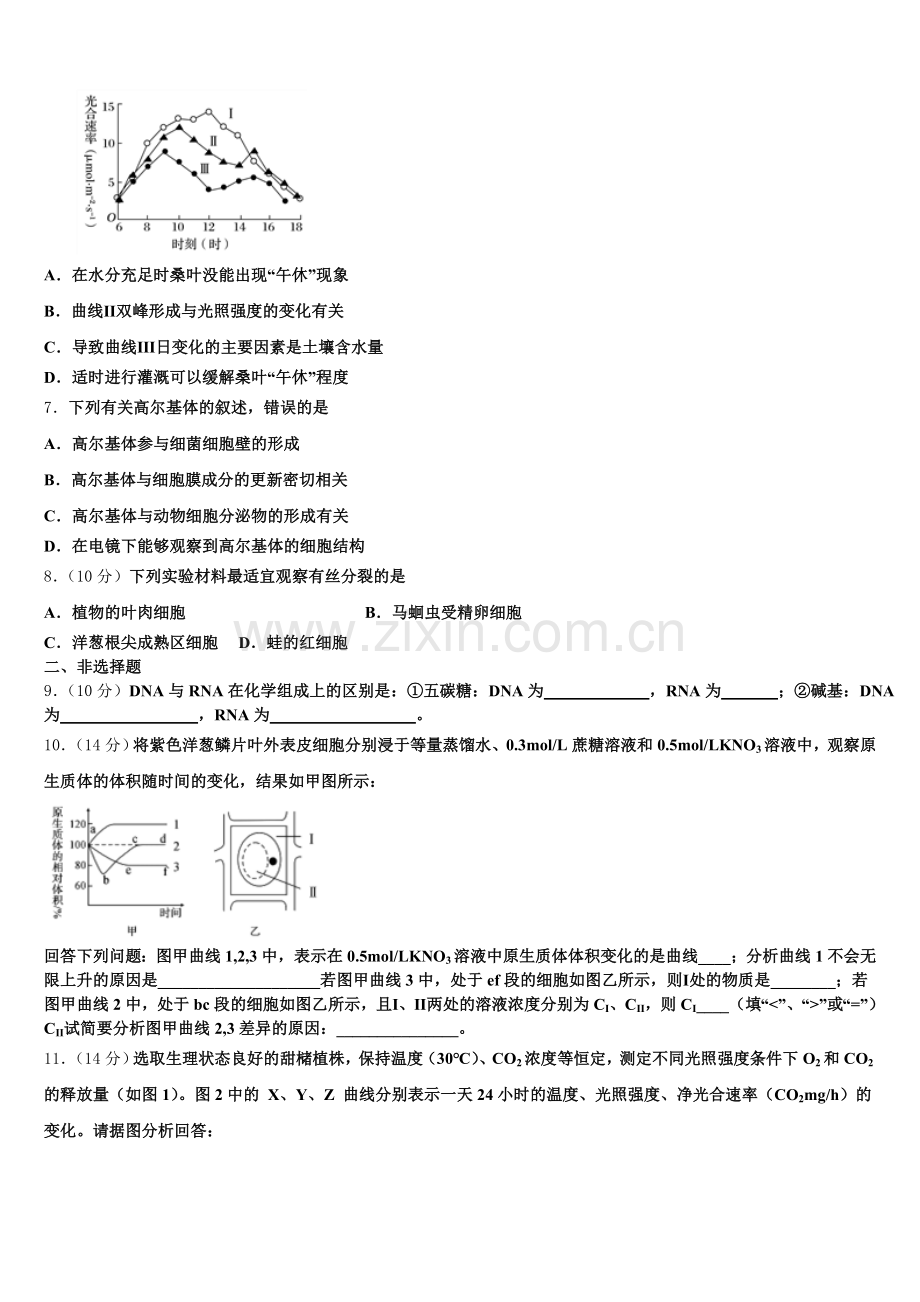 黑龙江大庆实验中学2025-2026学年高一上生物期末综合测试模拟试题含解析.doc_第2页
