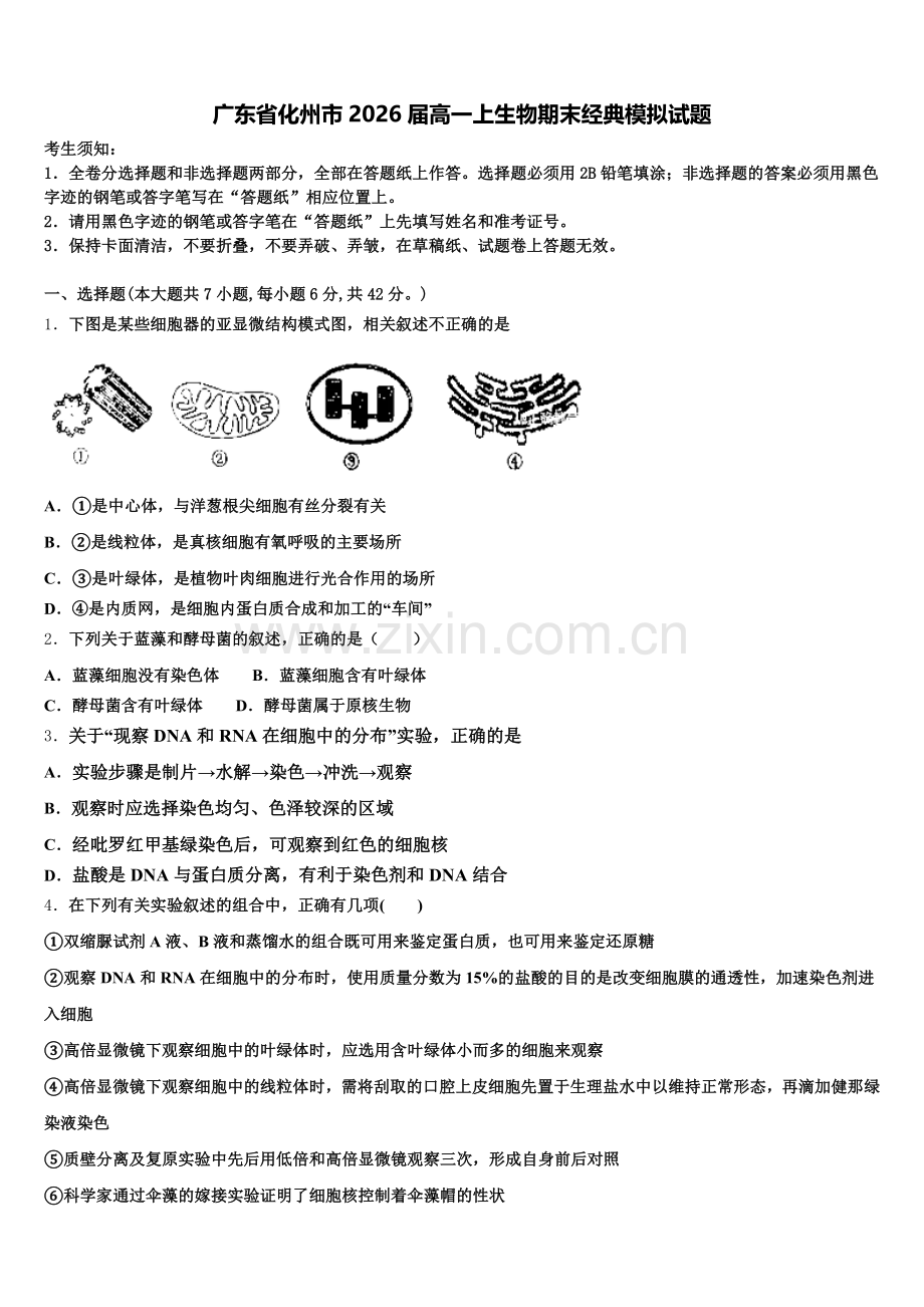 广东省化州市2026届高一上生物期末经典模拟试题含解析.doc_第1页