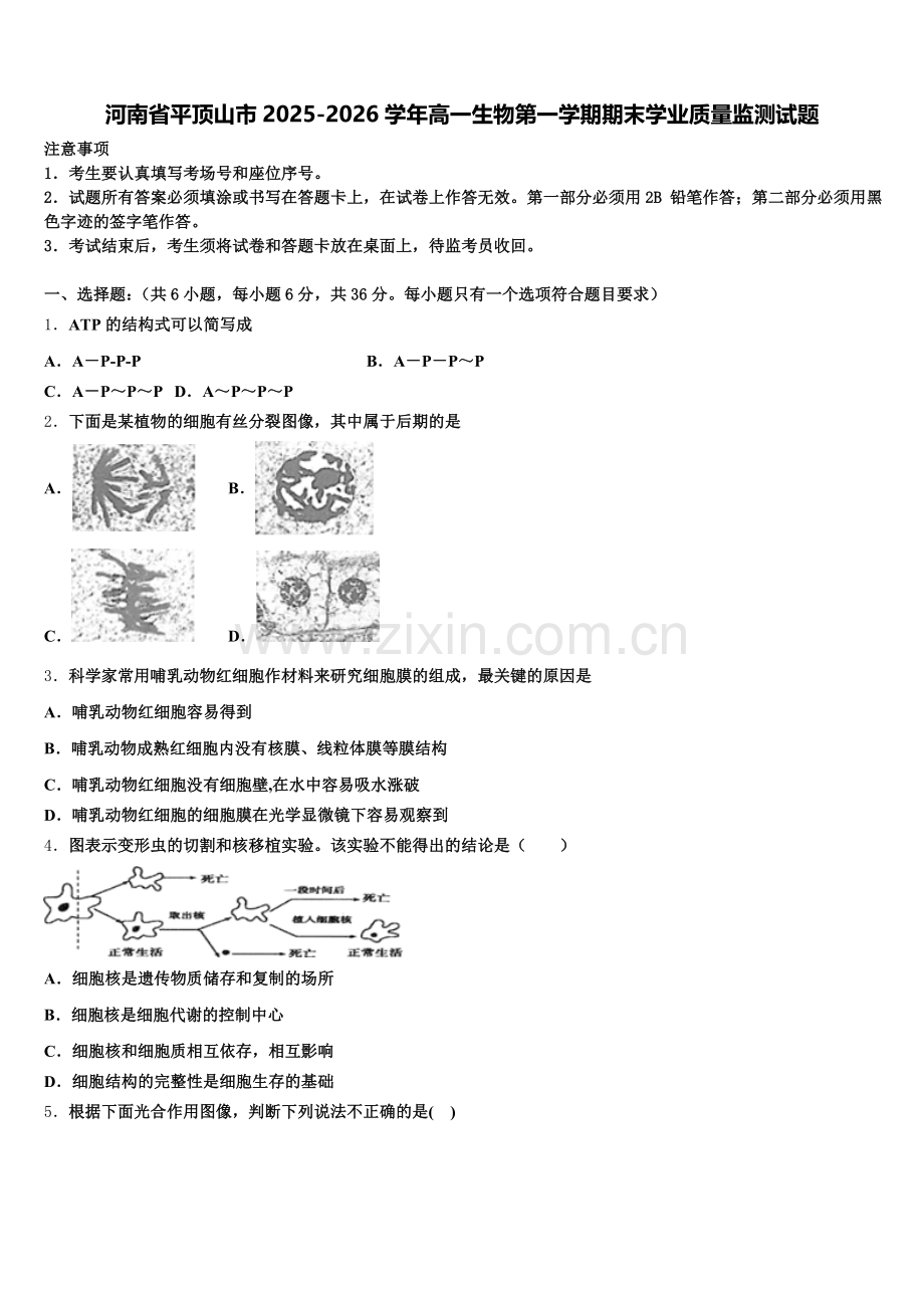 河南省平顶山市2025-2026学年高一生物第一学期期末学业质量监测试题含解析.doc_第1页