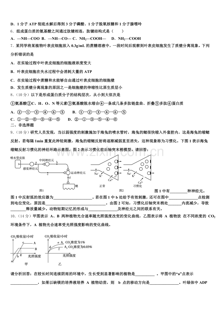 2025-2026学年山东泰安肥城市高一上生物期末检测模拟试题含解析.doc_第2页