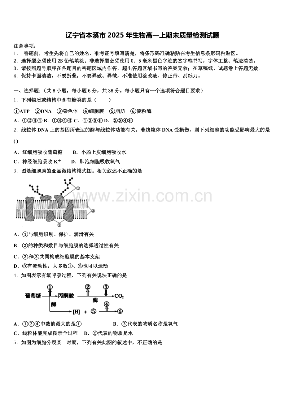 辽宁省本溪市2025年生物高一上期末质量检测试题含解析.doc_第1页