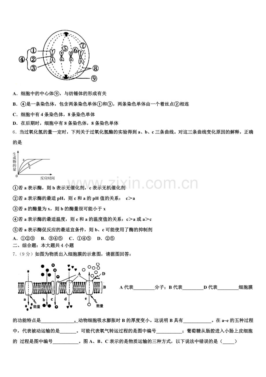 辽宁省本溪市2025年生物高一上期末质量检测试题含解析.doc_第2页