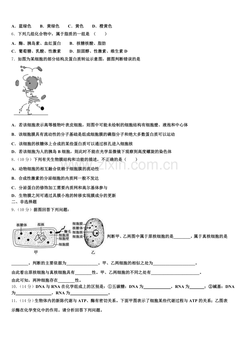 2026届浙江省金华市武义第三中学生物高一上期末联考试题含解析.doc_第2页