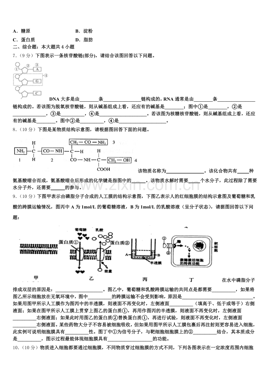 2025-2026学年河南省安阳市第35中学 生物高一上期末监测试题含解析.doc_第2页
