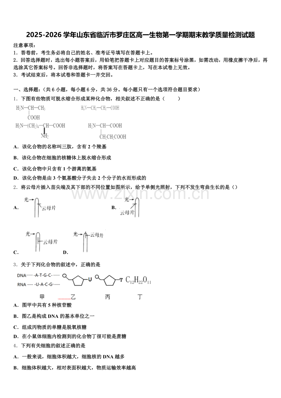 2025-2026学年山东省临沂市罗庄区高一生物第一学期期末教学质量检测试题含解析.doc_第1页