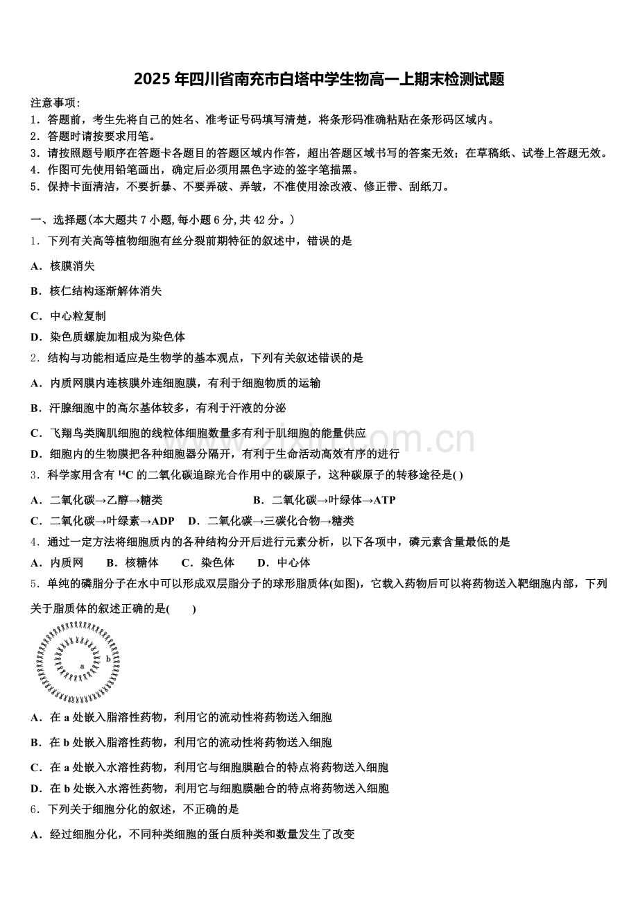 2025年四川省南充市白塔中学生物高一上期末检测试题含解析.doc_第1页