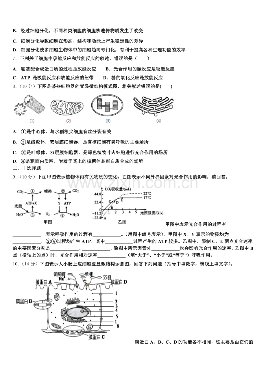2025年四川省南充市白塔中学生物高一上期末检测试题含解析.doc_第2页