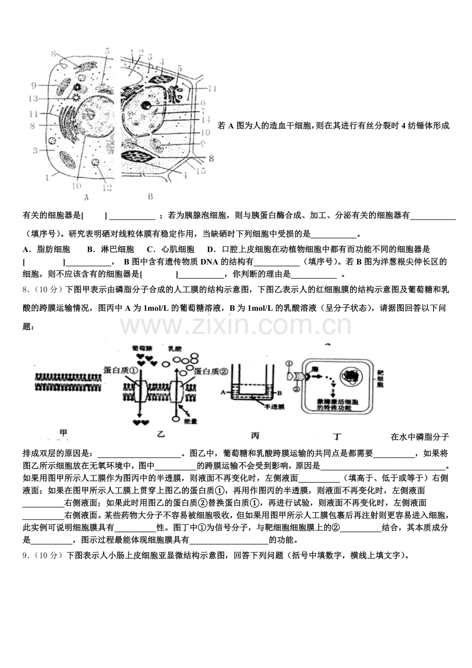 河北省保定市高阳中学2026届生物高一上期末综合测试试题含解析.doc_第2页