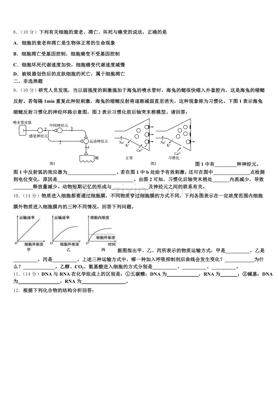 四川省眉山市第一中学2025年生物高一第一学期期末统考试题含解析.doc_第2页