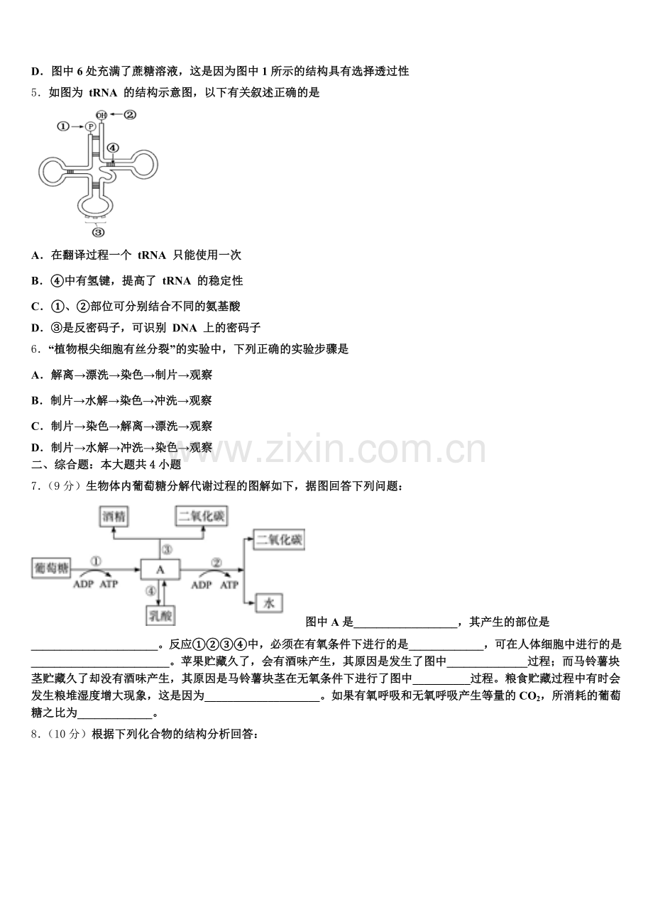 2025-2026学年上海市嘉定区第二中学生物高一第一学期期末质量跟踪监视模拟试题含解析.doc_第2页