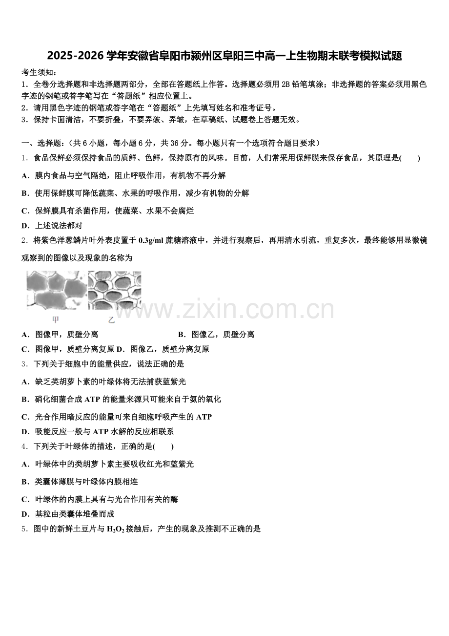 2025-2026学年安徽省阜阳市颍州区阜阳三中高一上生物期末联考模拟试题含解析.doc_第1页