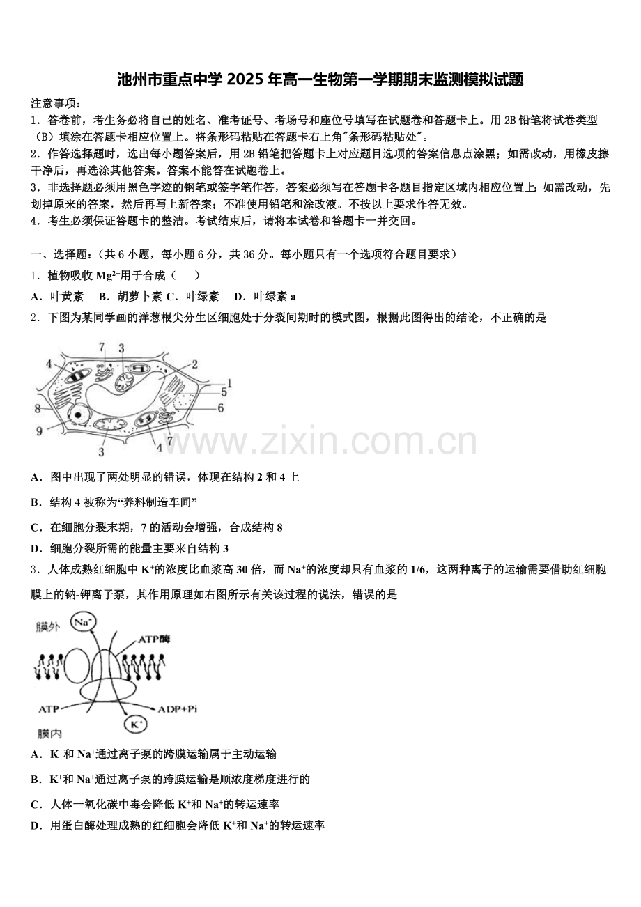 池州市重点中学2025年高一生物第一学期期末监测模拟试题含解析.doc_第1页