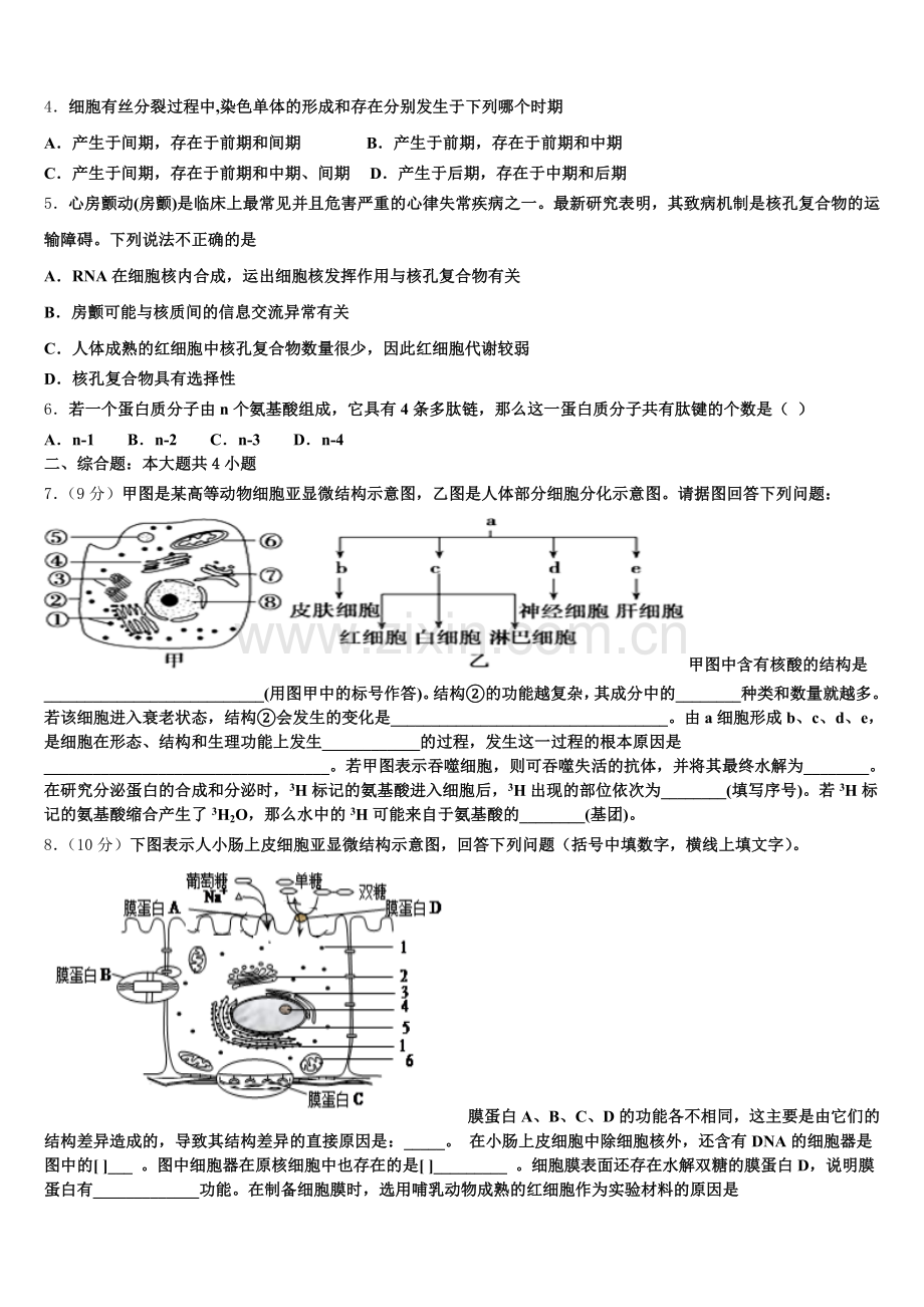 池州市重点中学2025年高一生物第一学期期末监测模拟试题含解析.doc_第2页