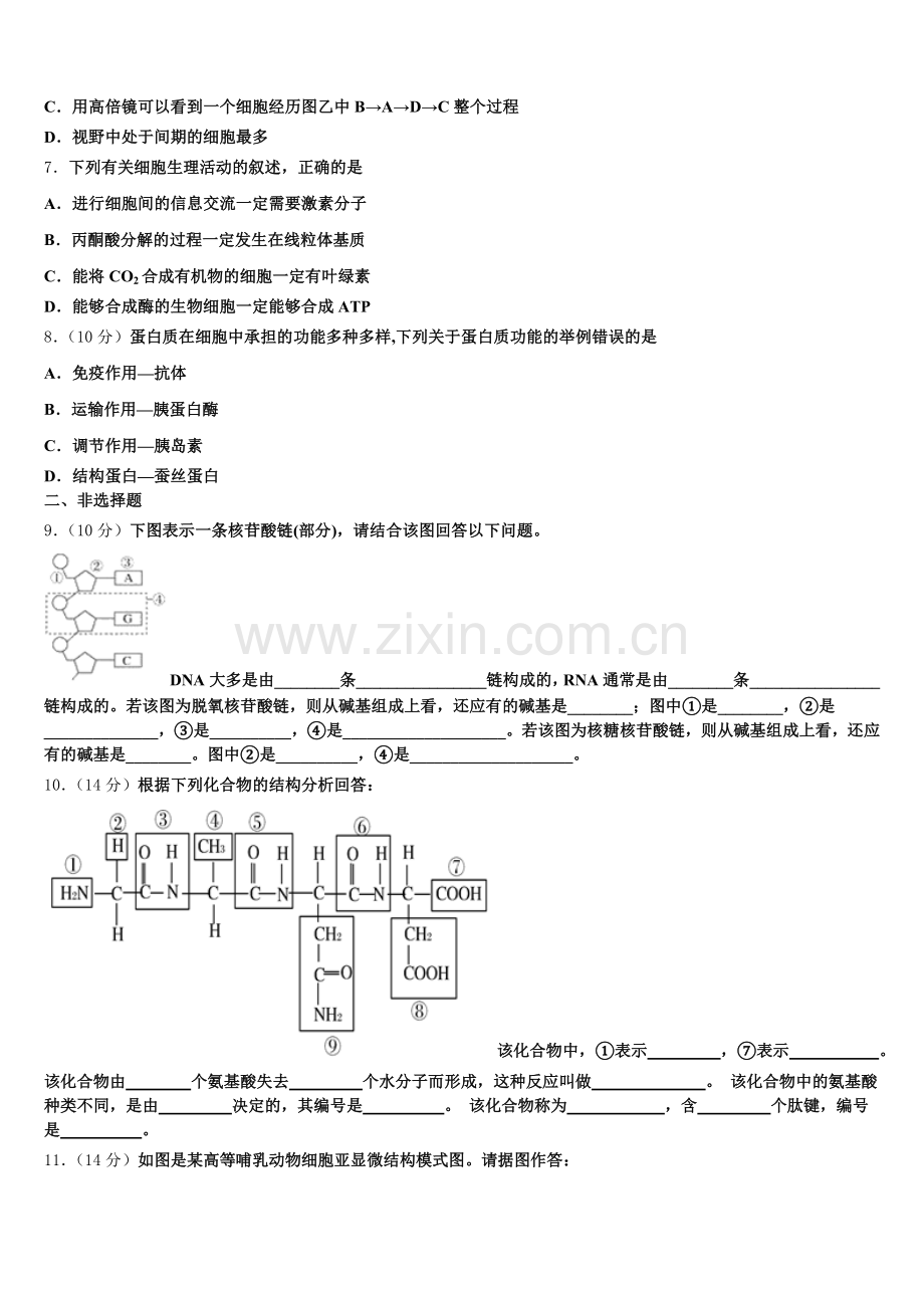 2025年七台河市重点中学高一上生物期末检测模拟试题含解析.doc_第2页