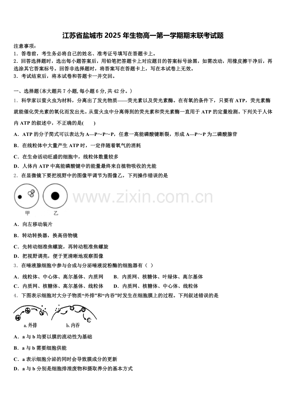 江苏省盐城市2025年生物高一第一学期期末联考试题含解析.doc_第1页