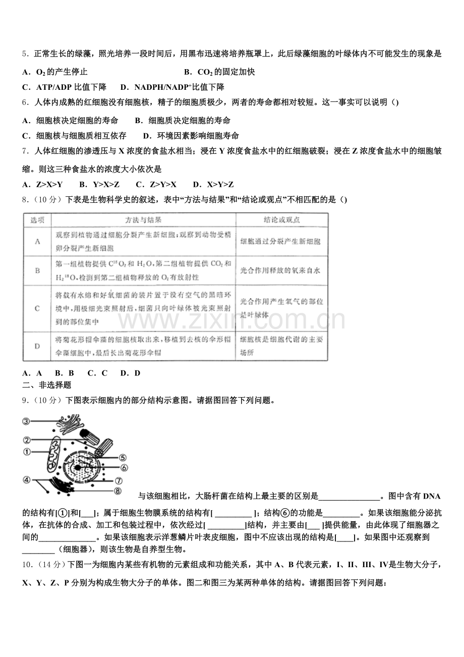 江苏省盐城市2025年生物高一第一学期期末联考试题含解析.doc_第2页