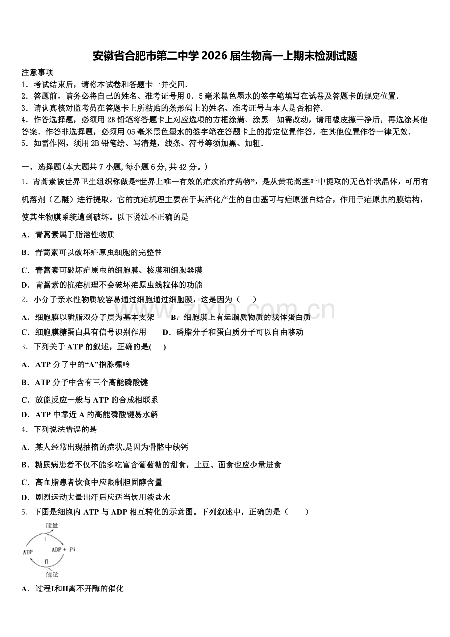 安徽省合肥市第二中学2026届生物高一上期末检测试题含解析.doc_第1页
